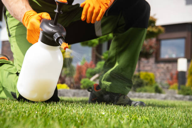 Pest Control Cost in Lake Monticello, VA