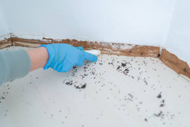 Best Commercial Pest Control Services  in Lake Monticello, VA