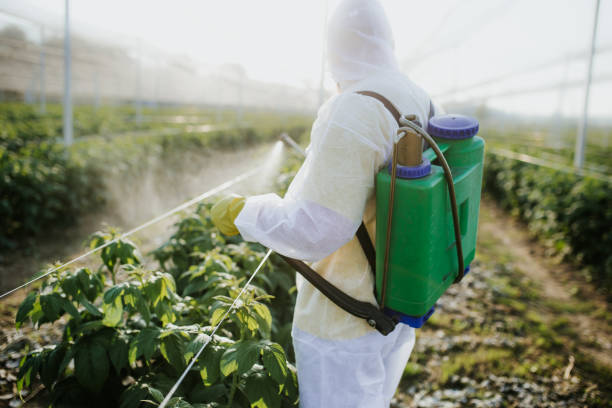Best Pest Control for Restaurants  in Lake Monticello, VA